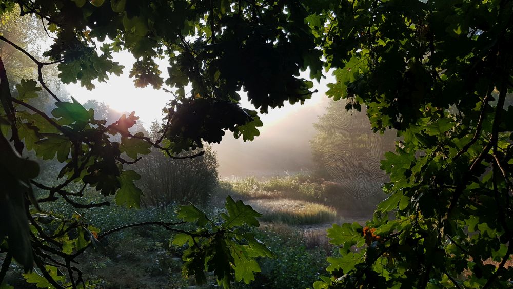 drau&szlig;en mit ingo: Die Schmokbach Ranger