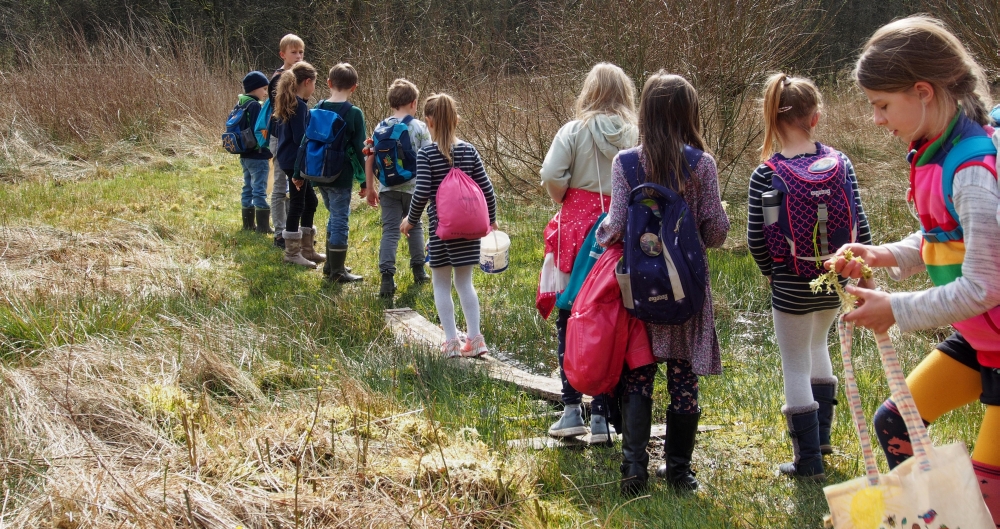 draußen mit ingo: Umweltbildung - Ferienprogramm - Waldpädagogik