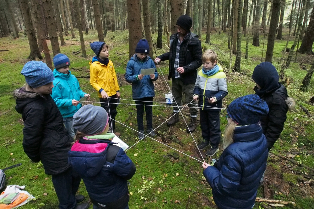 draußen mit ingo: Umweltbildung - Ferienprogramm - Waldpädagogik