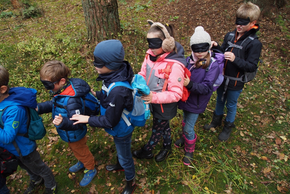 draußen mit ingo: Umweltbildung - Ferienprogramm - Waldpädagogik