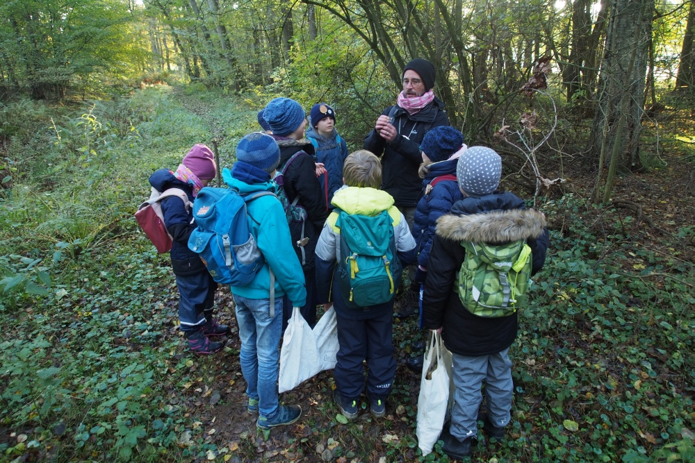 draußen mit ingo: Umweltbildung - Ferienprogramm - Waldpädagogik