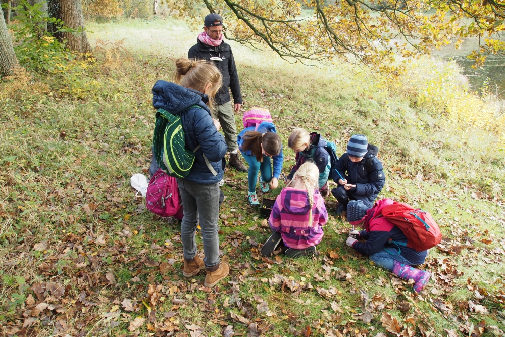 draußen mit ingo: Umweltbildung - Ferienprogramm - Waldpädagogik