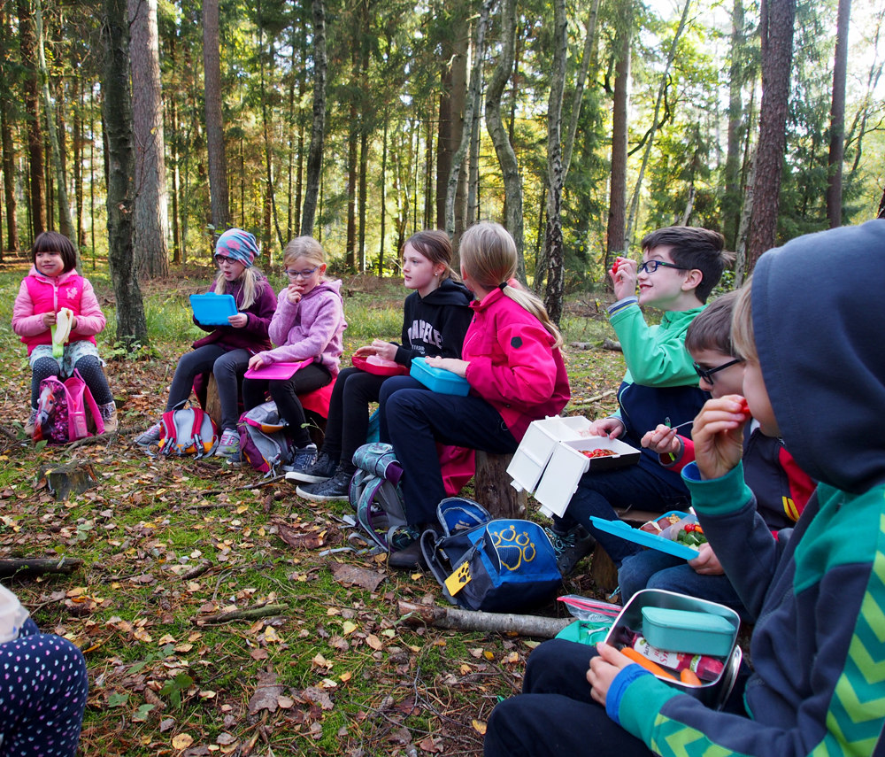 draußen mit ingo: Umweltbildung - Ferienprogramm - Waldpädagogik