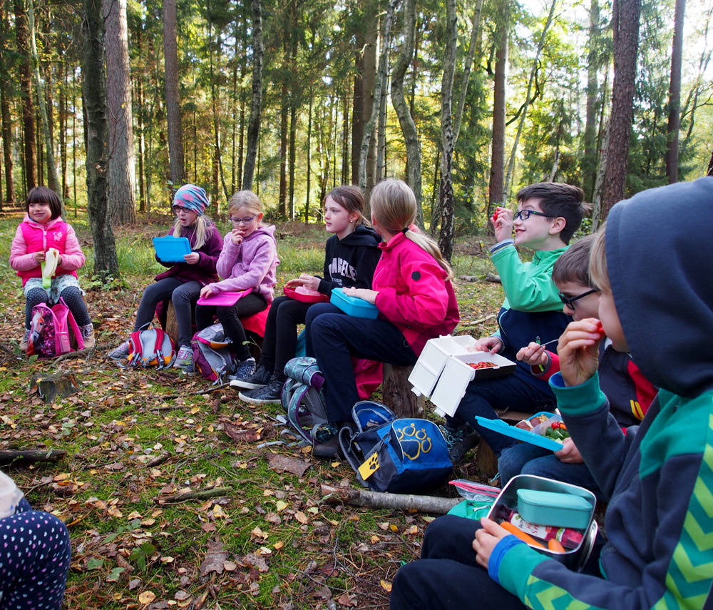 draußen mit ingo: Umweltbildung - Ferienprogramm - Waldpädagogik