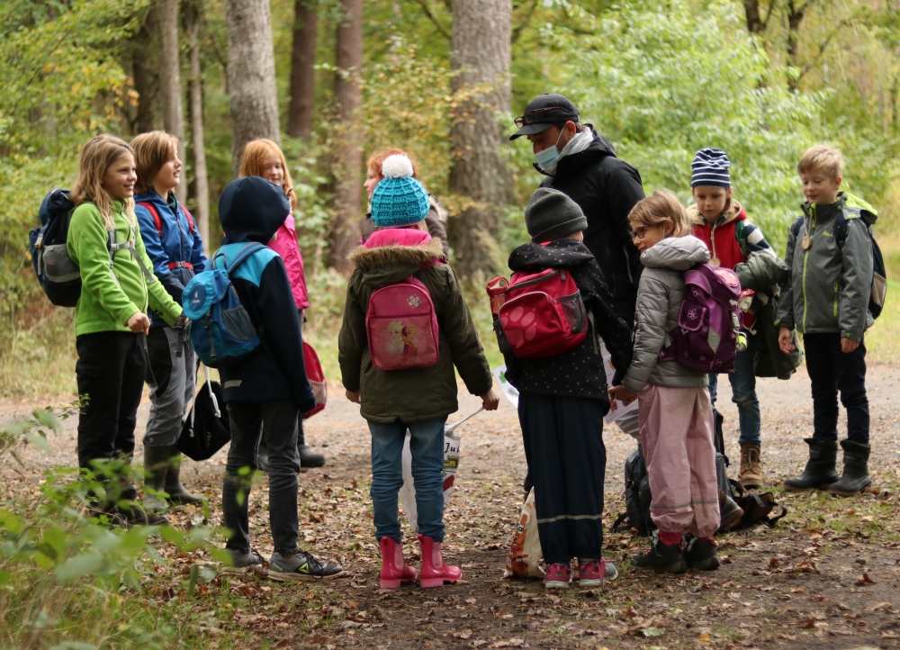 draußen mit ingo: Umweltbildung - Ferienprogramm - Waldpädagogik