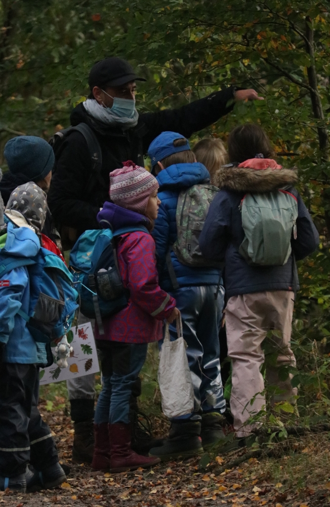 draußen mit ingo: Umweltbildung - Ferienprogramm - Waldpädagogik