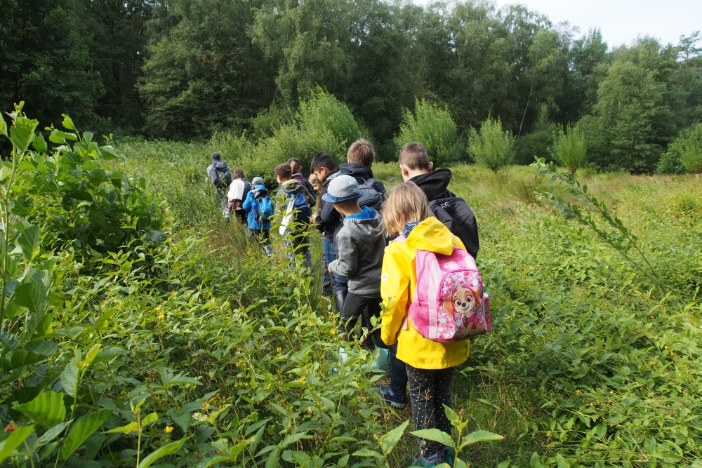 draußen mit ingo: Umweltbildung - Ferienprogramm - Waldpädagogik