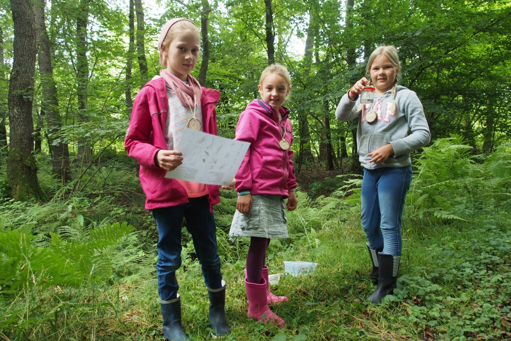 draußen mit ingo: Umweltbildung - Ferienprogramm - Waldpädagogik