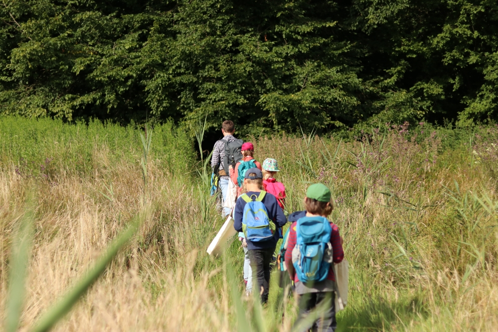 draußen mit ingo: Umweltbildung - Ferienprogramm - Waldpädagogik